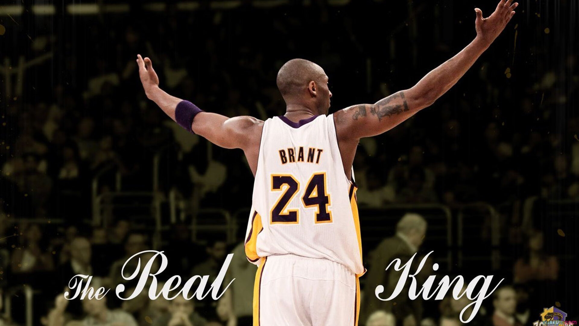 德甲精彩,球迷留言支持不断,德甲贴吧